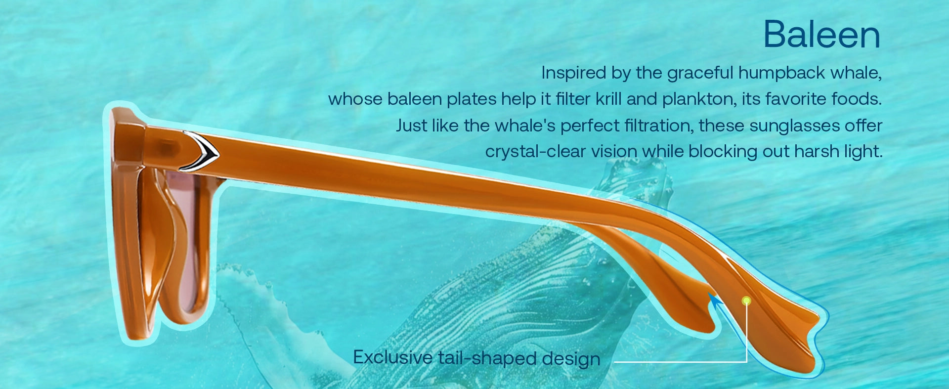 Baleen